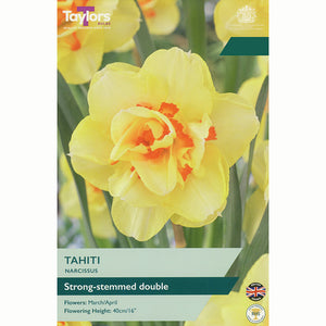 Narcissus ‘Tahiti’ Double Daffodil (5 Bulbs)