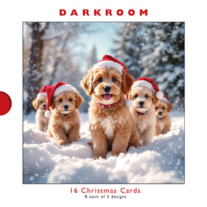 Darkroom Christmas Dogs Cards (Pack of 16)