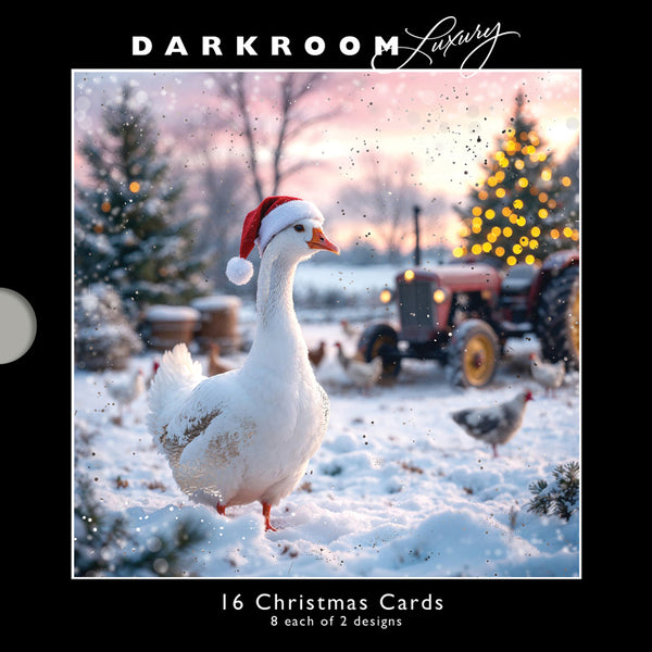 Darkroom Christmas Geese Luxury Cards (Pack of 16)