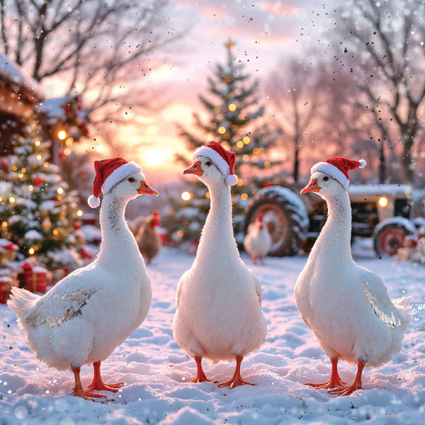 Darkroom Christmas Geese Luxury Cards (Pack of 16)