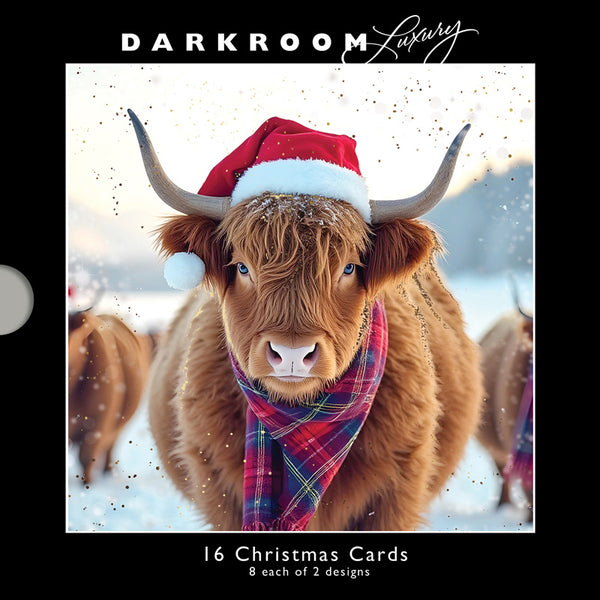 Darkroom Christmas Highland Cows Luxury Cards (Pack of 16)