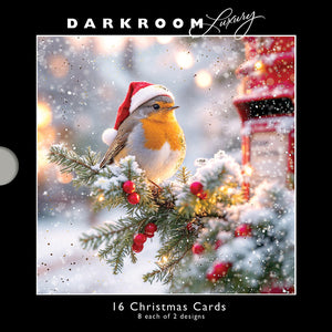 Darkroom Christmas Robins Luxury Cards (Pack of 16)