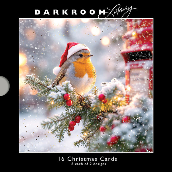 Darkroom Christmas Robins Luxury Cards (Pack of 16)