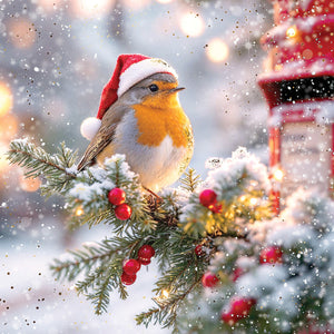 Darkroom Christmas Robins Luxury Cards (Pack of 16)