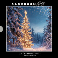 Darkroom Christmas Trees Luxury Cards (Pack of 16)