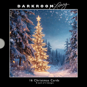 Darkroom Christmas Trees Luxury Cards (Pack of 16)