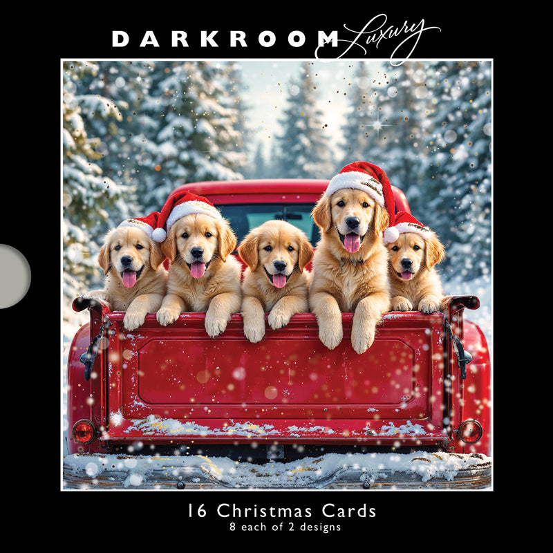 Darkroom Festive Dogs Luxury Cards (Pack of 16)