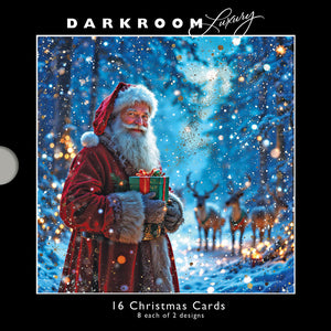 Darkroom Festive Santa's Luxury Cards (Pack of 16)