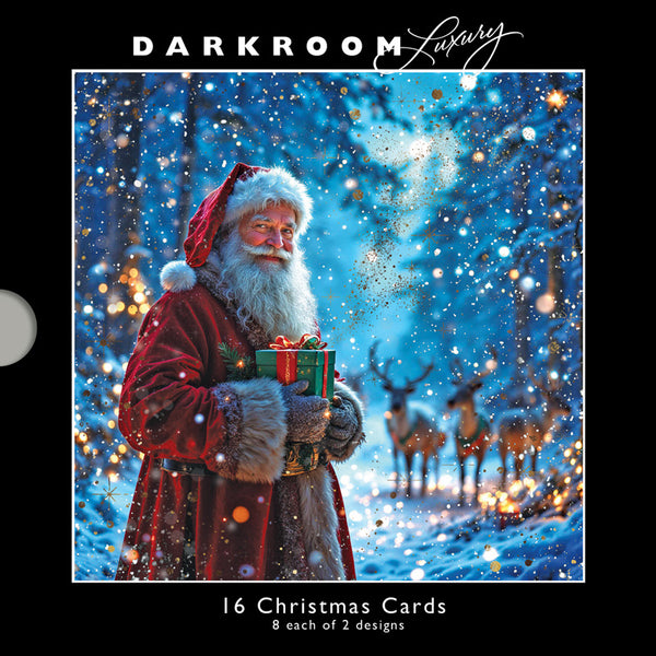 Darkroom Festive Santa's Luxury Cards (Pack of 16)
