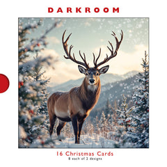 Darkroom Winter Deer Cards (Pack of 16)
