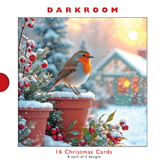 Darkroom Winter Garden Robins Cards (Pack of 16)