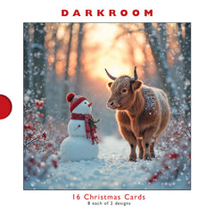 Darkroom Winter Highland Cows Cards (Pack of 16)