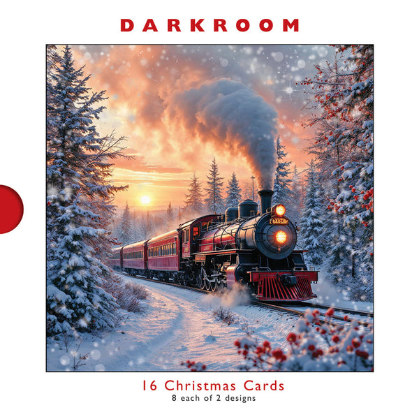 Darkroom Winter Train & Village Cards (Pack of 16)