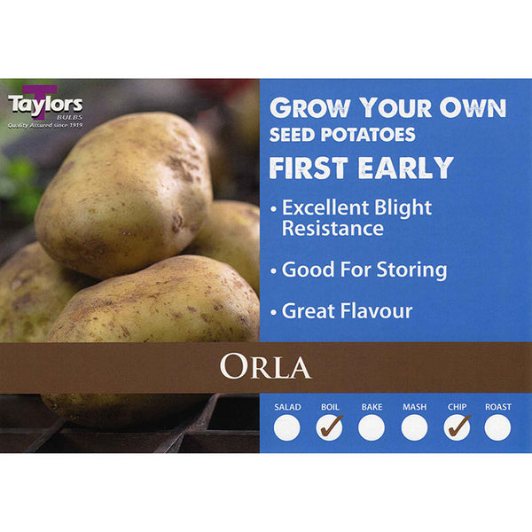 Orla First Early Seed Potatoes (2kg Bag) image 0