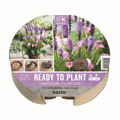 Ready to Plant Zantedeschia Pink & Liatris Spicata 24cm/9.5″ (19 bulbs) image 0