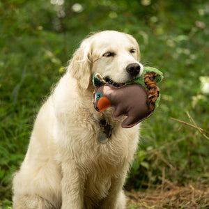 Petface Salina Squirrel Dog Toy image 5