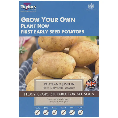Pentland Javelin First Early Seed Potatoes - Pack of 10 image