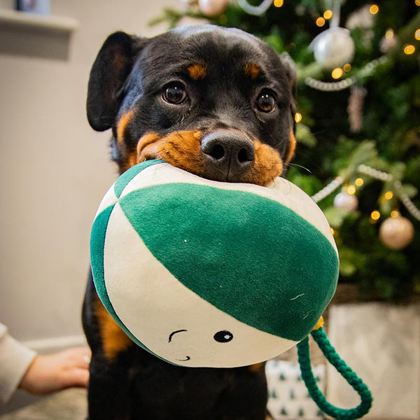 Cupid & Comet 'Blitzen Bauble' Dog Toy image 3