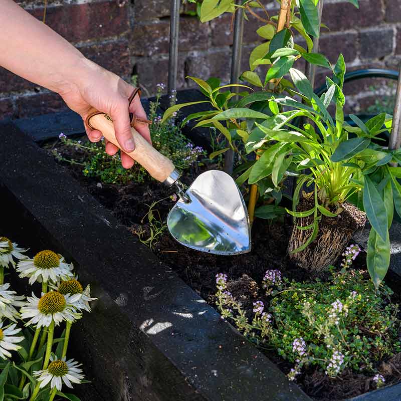 Burgon & Ball RHS Stainless Steel Planting Trowel image 0