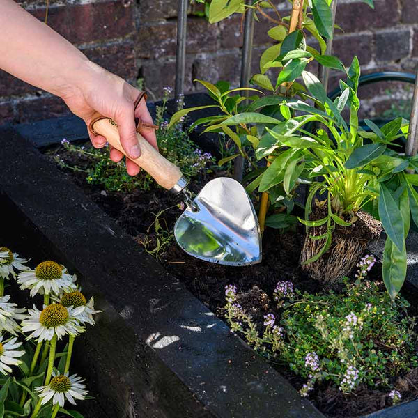 Burgon & Ball RHS Stainless Steel Planting Trowel image 1