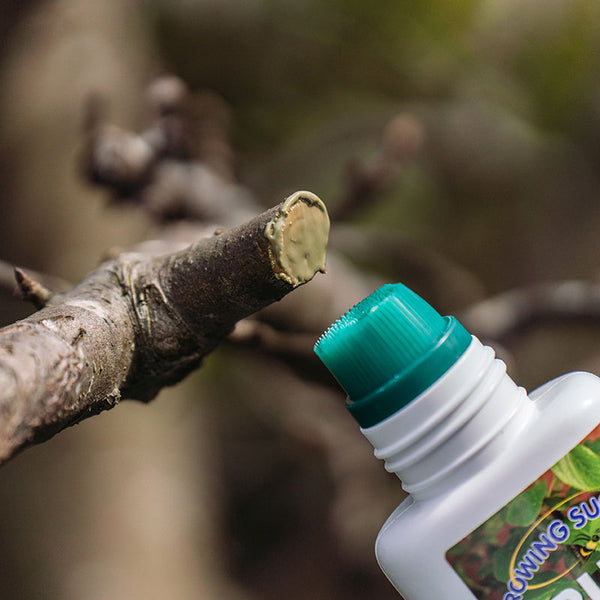 Westland Growing Success Prune & Seal (250ml) image 2
