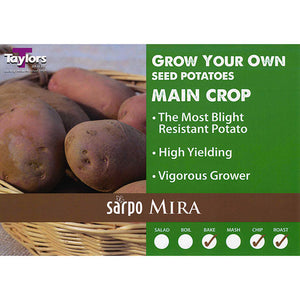 Sarpo Mira Main Crop Seed Potatoes - 2kg image