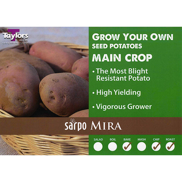 Sarpo Mira Main Crop Seed Potatoes - 2kg image