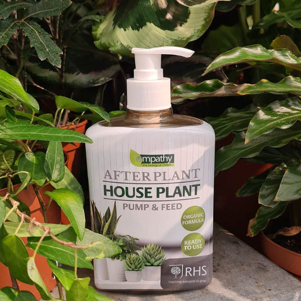 Empathy After Plant Houseplant Pump & Feed (500ml) image 2