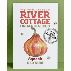 River Cottage Organic Seeds – Squash ‘Red Kuri’ (1 Packet) image 0