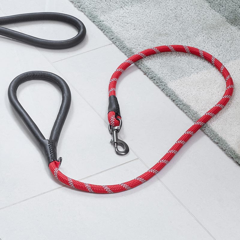 Zoon Primo Walkabout Reflective Ruby Dog Lead image 0