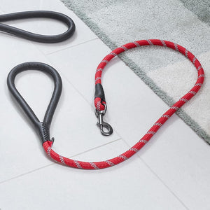 Zoon Primo Walkabout Reflective Ruby Dog Lead image 0