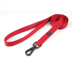 Zoon WalkAbout Dog Lead image 10