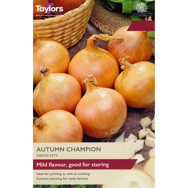 'Autumn Champion' Onion Sets (50 Bulbs) image 0