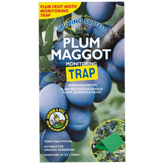 Westland Growing Success Plum Maggot Monitoring Trap image 0