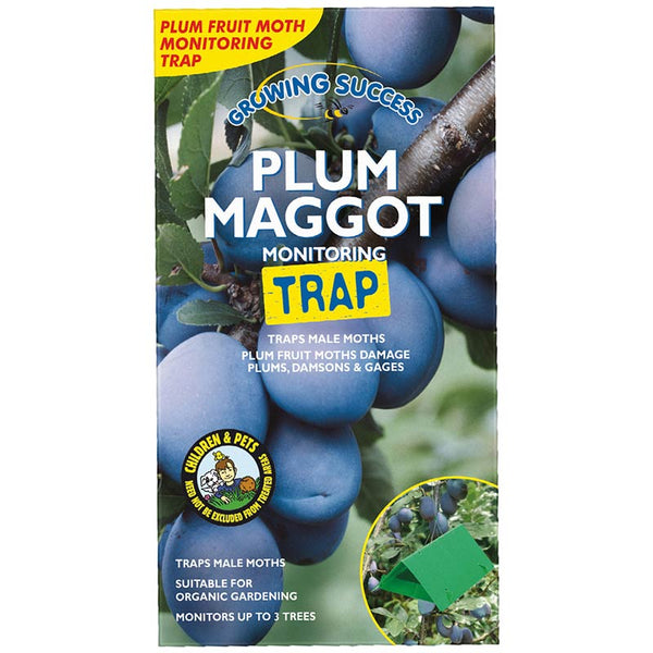 Westland Growing Success Plum Maggot Monitoring Trap image 0