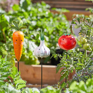 Carrot, Garlic & Tomato Vegetable Stakes (Assorted Designs) image 0