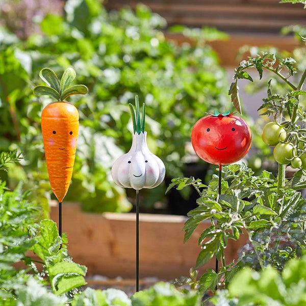 Carrot, Garlic & Tomato Vegetable Stakes (Assorted Designs) image 0