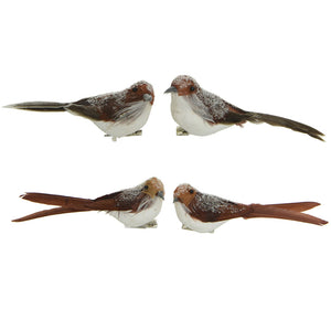 Decoris Brown Bird Clip - Pack of 2 (Assorted Designs)