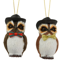 Decoris Fancy Feathers Club Owl (Assorted Designs)