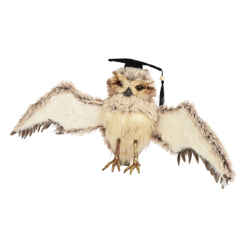 Decoris Graduating Owl