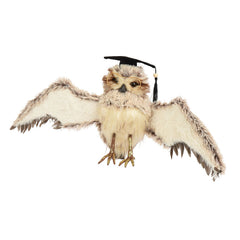 Decoris Graduating Owl
