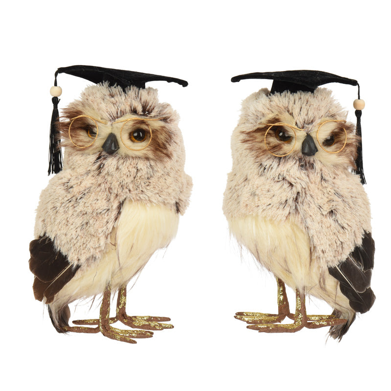 Decoris Perched Graduating Owl (Assorted Designs)