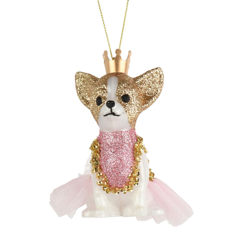 Decoris Royal Chihuahua