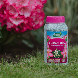 Westland Ericaceous Granular Plant Food (900g) image 2