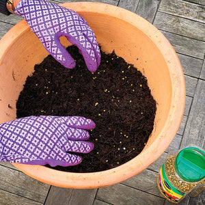 Miracle-Gro All Purpose Continuous Release Plant Food (900g) image 1