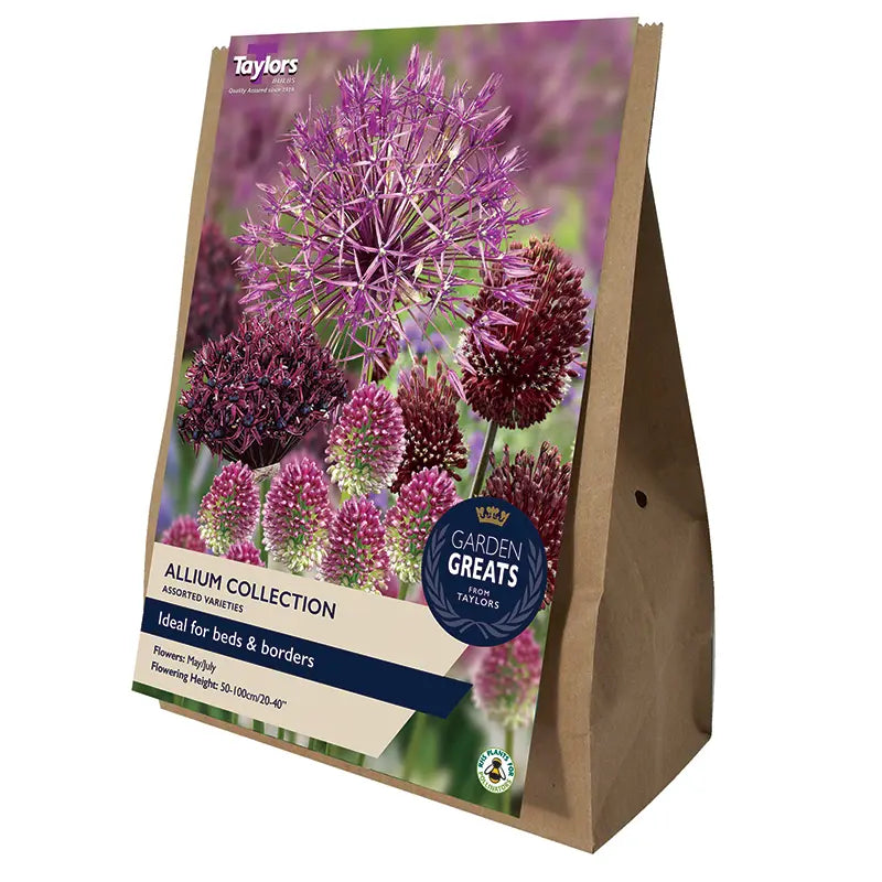 Assorted Allium Bulb Collection (50 bulbs) image 0