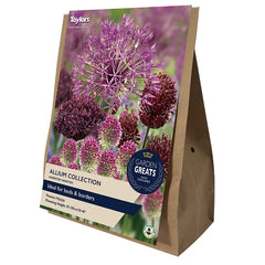 Assorted Allium Bulb Collection (50 bulbs) image 0