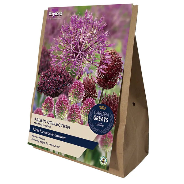 Assorted Allium Bulb Collection (50 bulbs) image 0