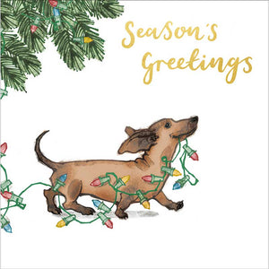 Doggy Chaos Christmas Cards (Pack of 10)