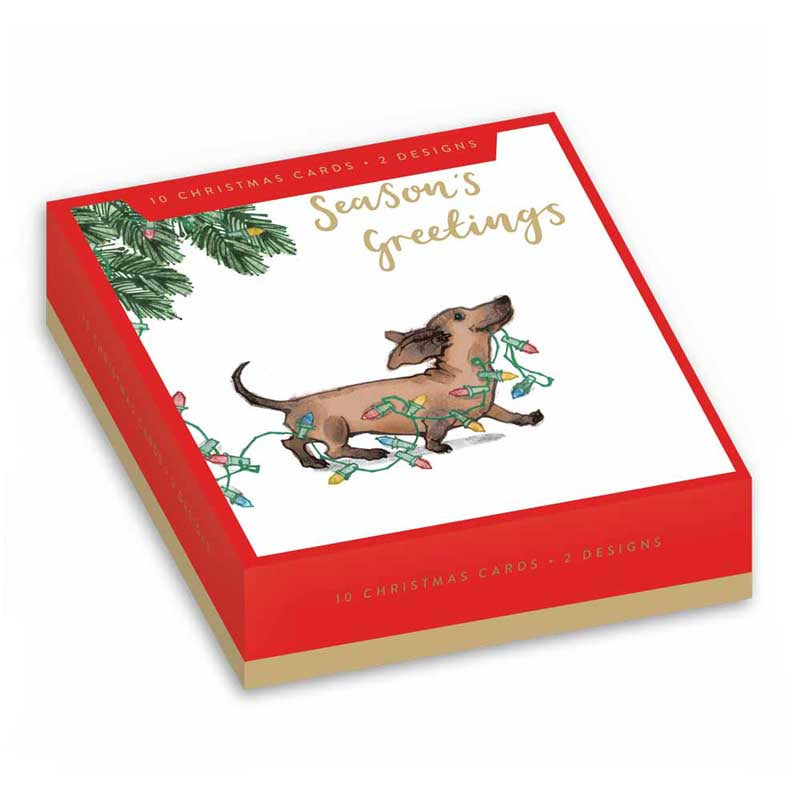 Doggy Chaos Christmas Cards (Pack of 10)
